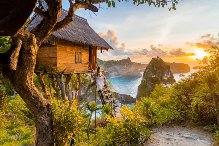 Treehouse